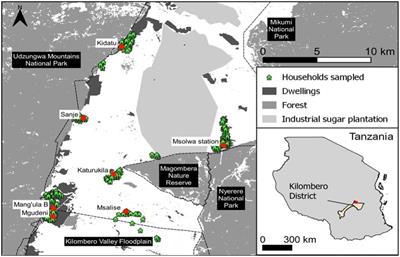Revealing diversity among narratives of agricultural transformation: insights from smallholder farmers in the Northern Kilombero Valley, Tanzania
